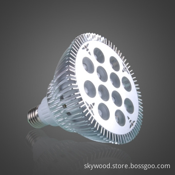12x1W High Power LED Par Light, PAR38